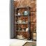 Ascot Large Bookcase