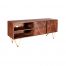 Dark Gold Plasma Media Unit