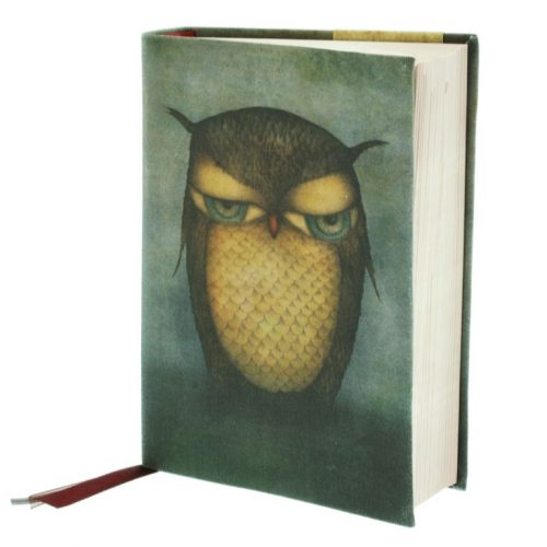 Eclectic Grumpy Owl Cloth Notebook