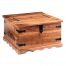 Jali Coffee Table Trunk