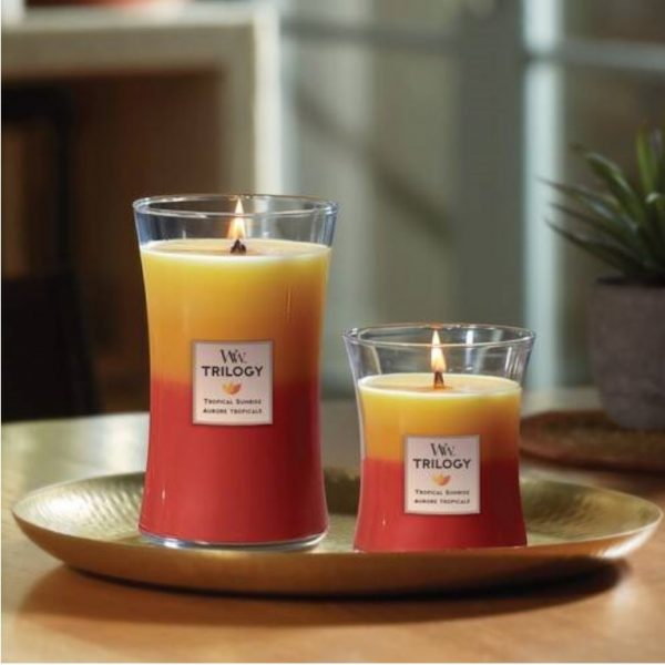 Tropical Sunrise Ellipse Trilogy Candle Hollygrove