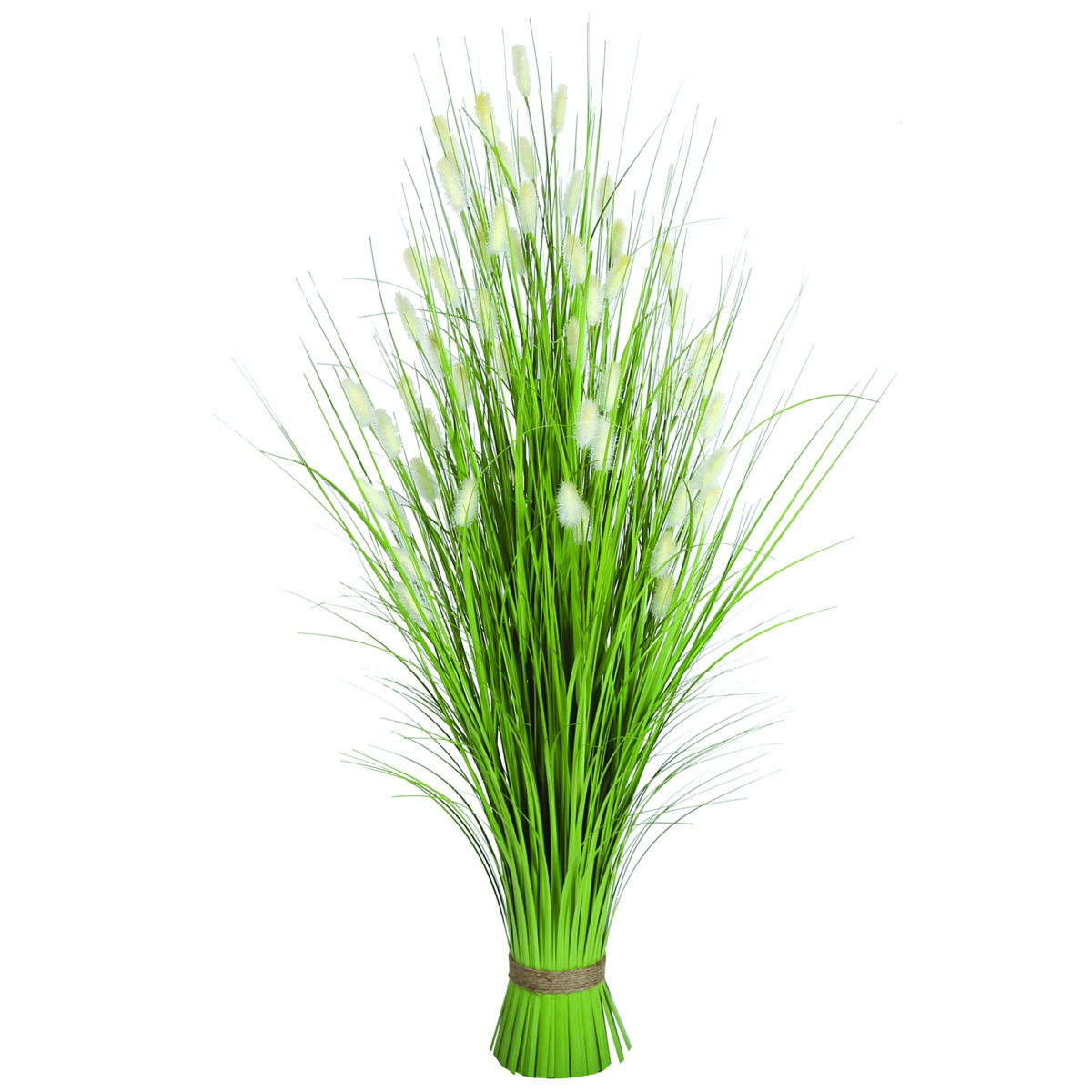 Grass Bundle Green Bristle Grass 100cm Hollygrove