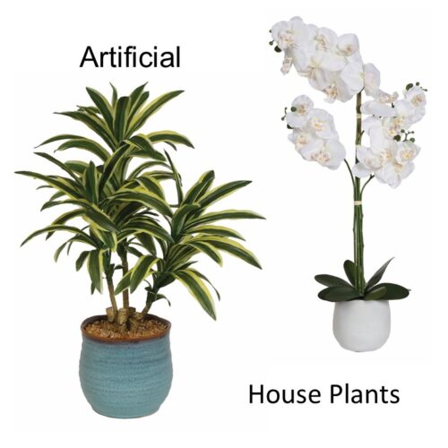 Artificial House Plants