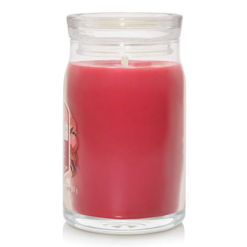 Santa on Skis Signature Large Jar - Image 5